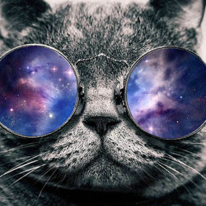 Meet your Posher, Steven